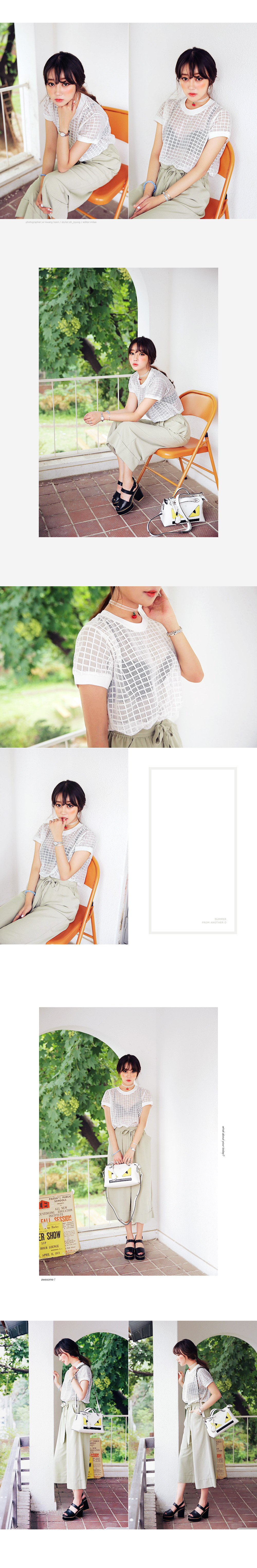 ラウンドネックチェックシースルーTシャツ・全2色 | DHOLIC | 詳細画像3