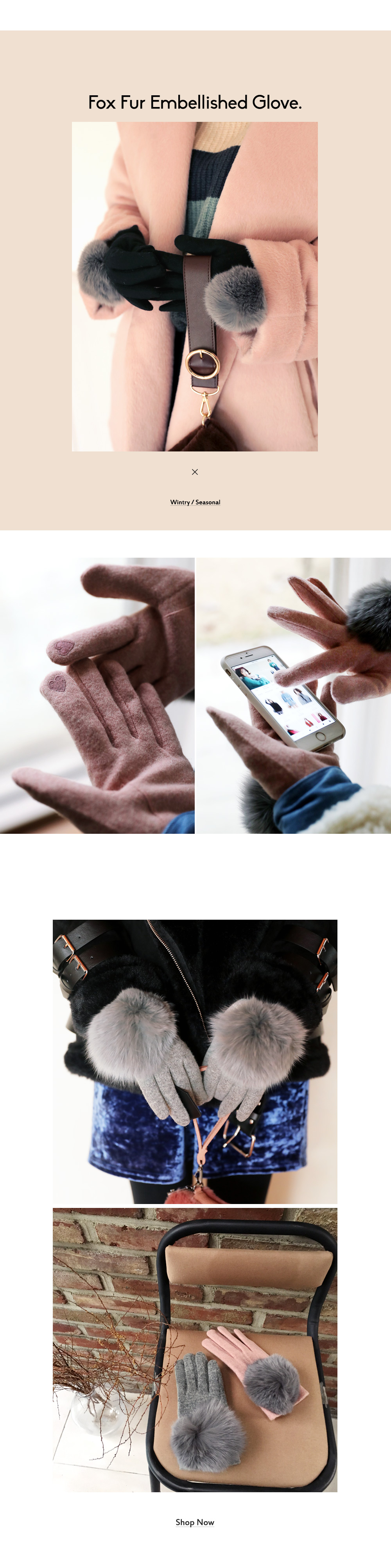 ＊スマホ対応＊フォックスファーポイント手袋・全3色 | DHOLIC | 詳細画像2