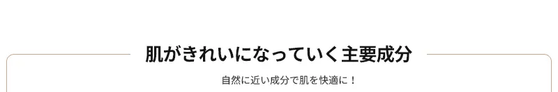 [マックイーンニューヨーク] ミネラルCCクッションカバープラス(本品+リフィル) | 詳細画像11