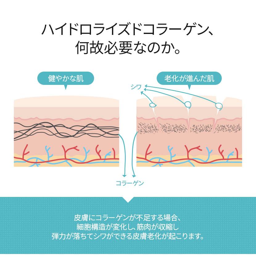 [ワンスキン]モイスチャークリーム50g | 詳細画像4