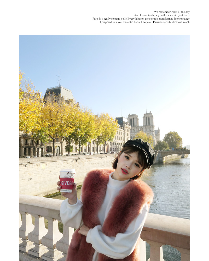 ♥Love in PARIS♥起毛ハーフネックプルオーバー・全4色 | DHOLIC | 詳細画像23