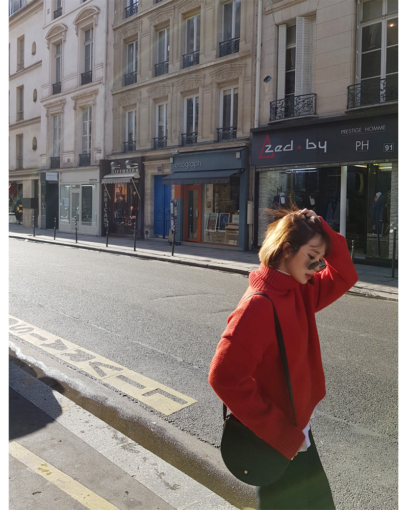 ♥Love in PARIS♥クロップドタートルネックニット・全5色 | DHOLIC | 詳細画像8