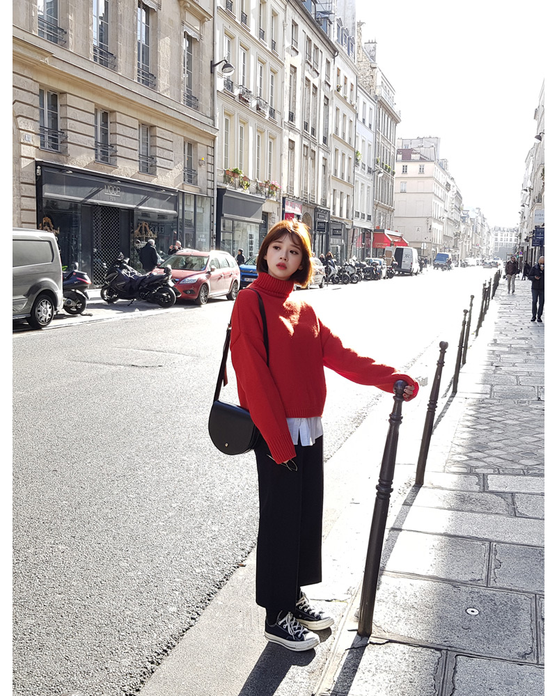 ♥Love in PARIS♥クロップドタートルネックニット・全5色 | DHOLIC | 詳細画像18