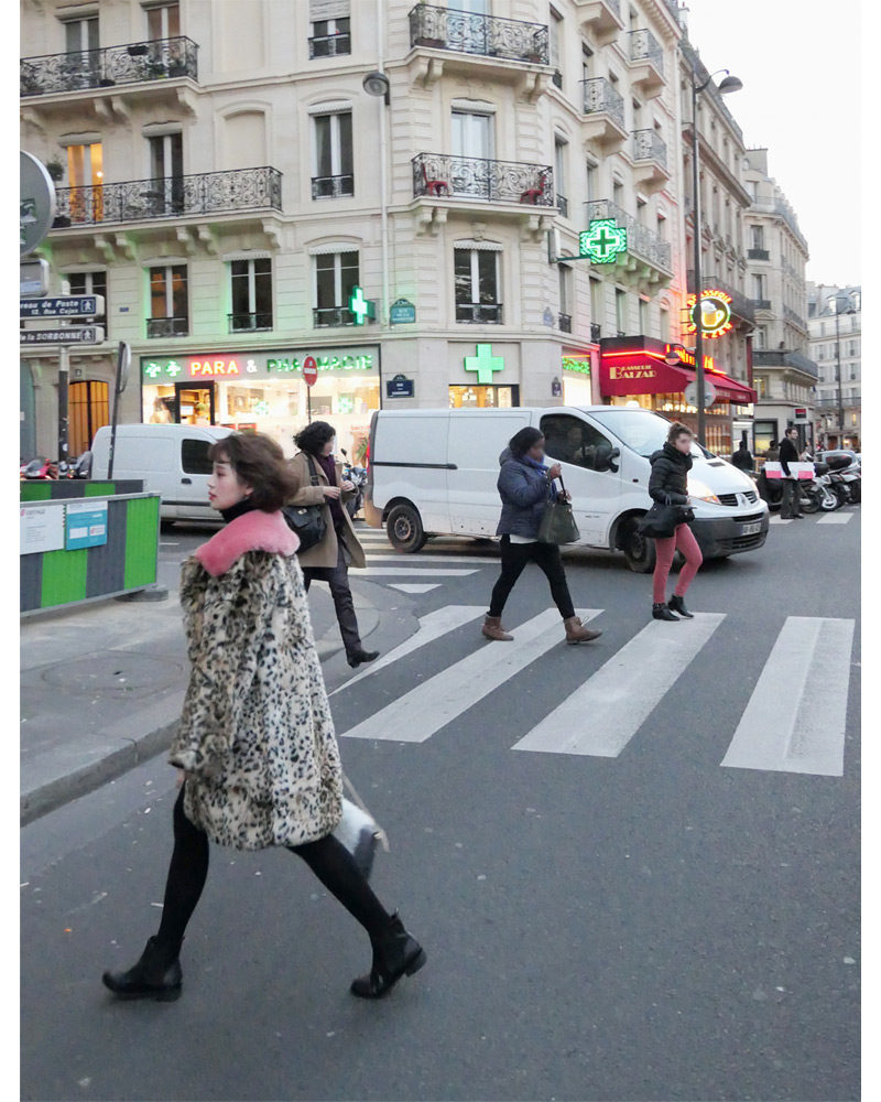 ♥Love in PARIS♥レオパードフェイクファーコート・全2色 | DHOLIC | 詳細画像9