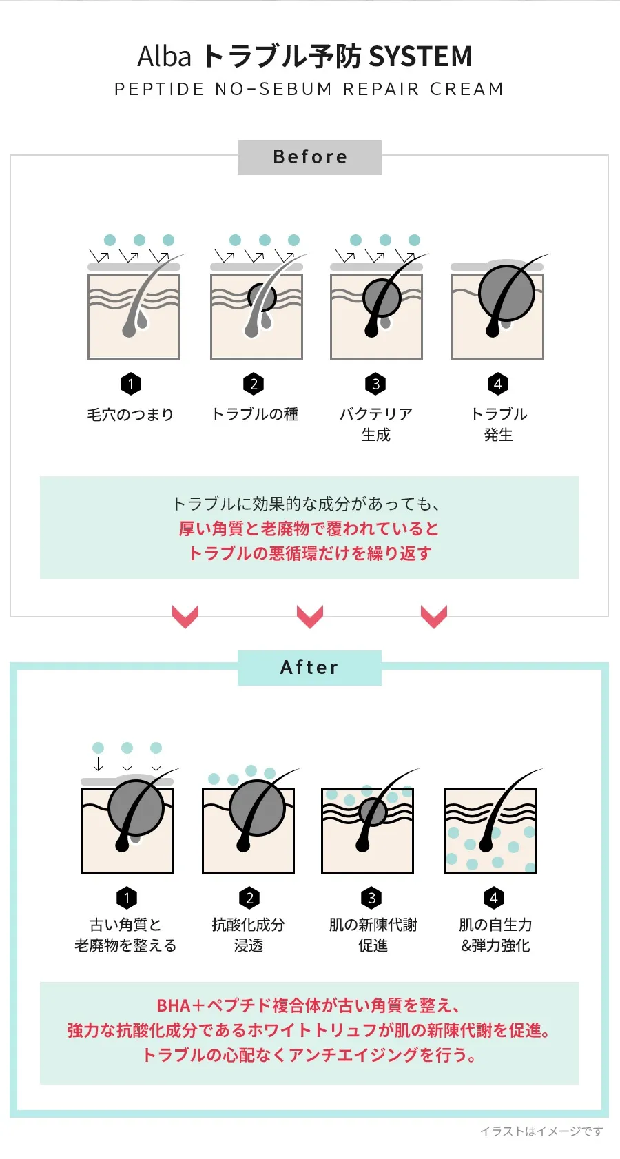 [ダルバ]ペプチドノーシーバムリペアクリーム50g | 詳細画像4