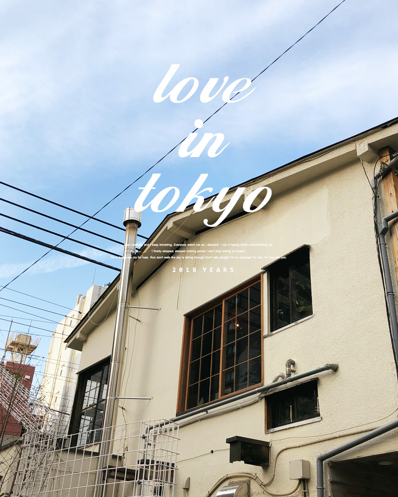 ♥Love in TOKYO♥キャミソールSETフリルレースブラウス・全4色 | DHOLIC | 詳細画像17