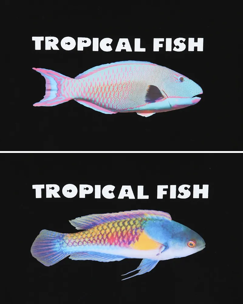 Tropical FishプリントTシャツ・全4色 | 詳細画像26