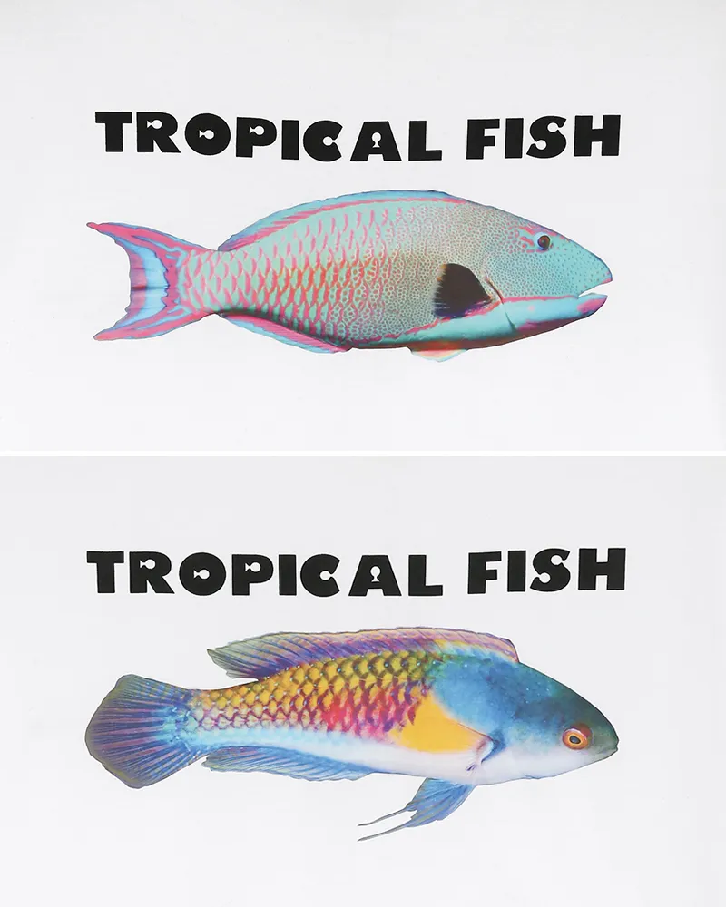 Tropical FishプリントTシャツ・全4色 | 詳細画像27