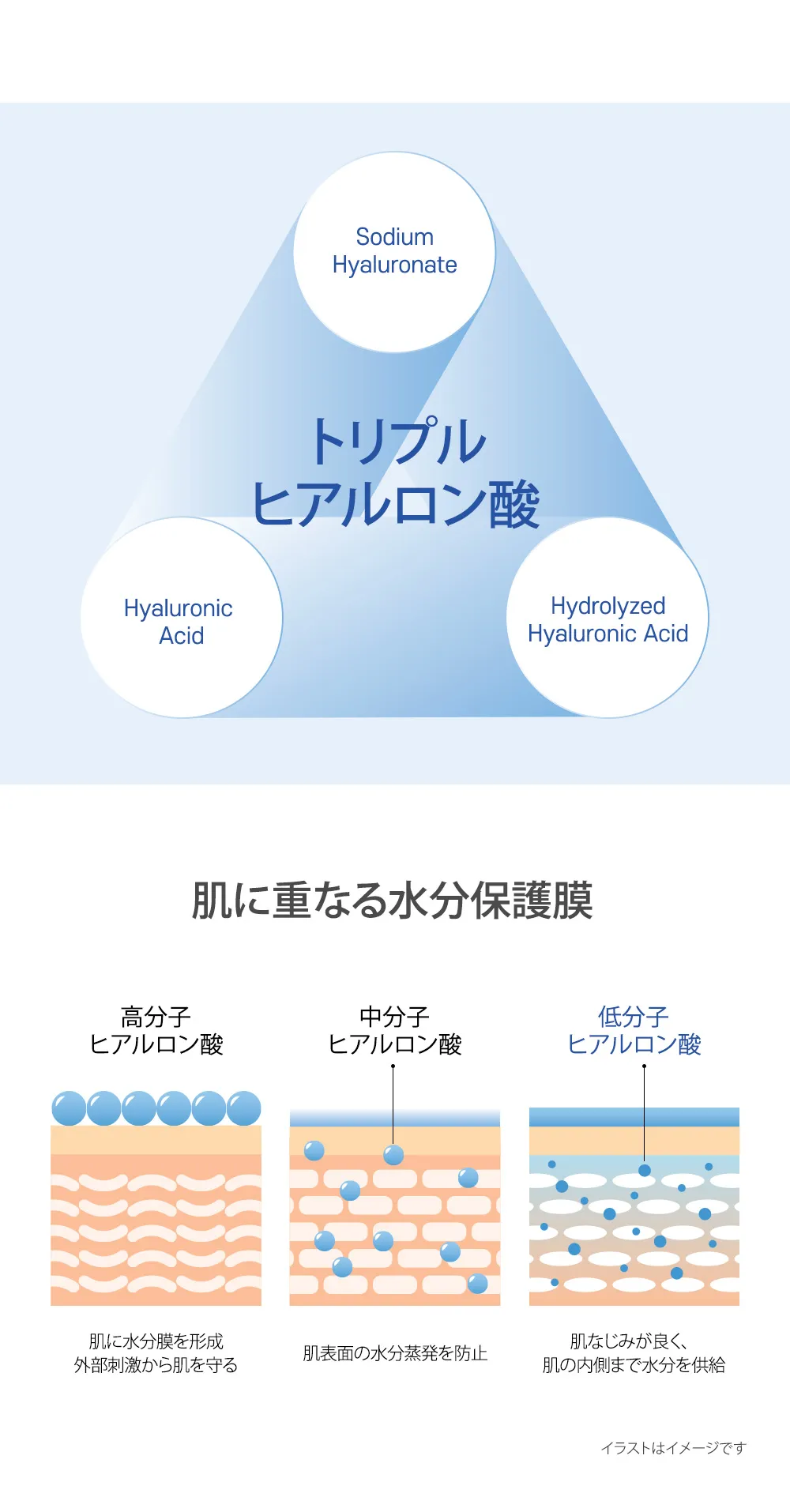 [トゥルーアイランド]アラスカアクアモイスチャージェルクリーム | 詳細画像9