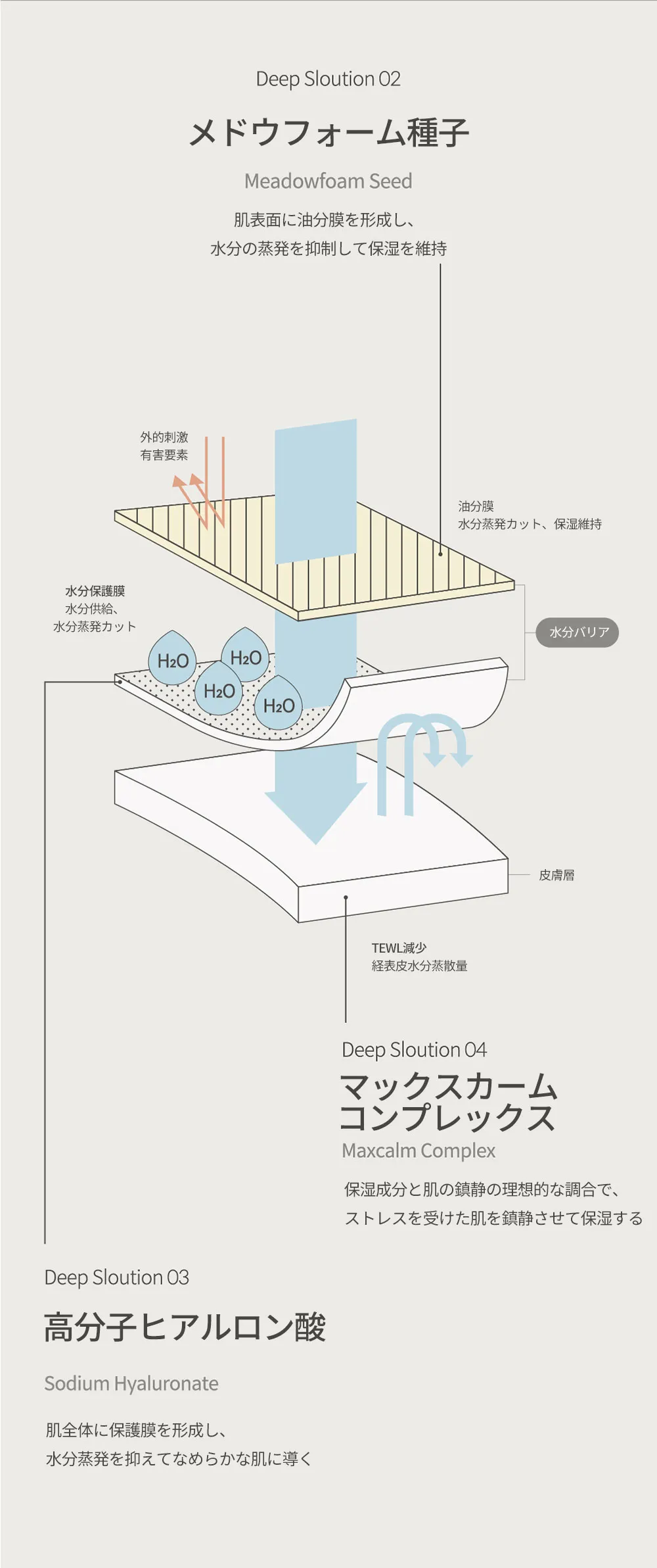 [ブラウンラボ]ディープモイスチャーデイリーリペアフェイシャルクリーム | 詳細画像5