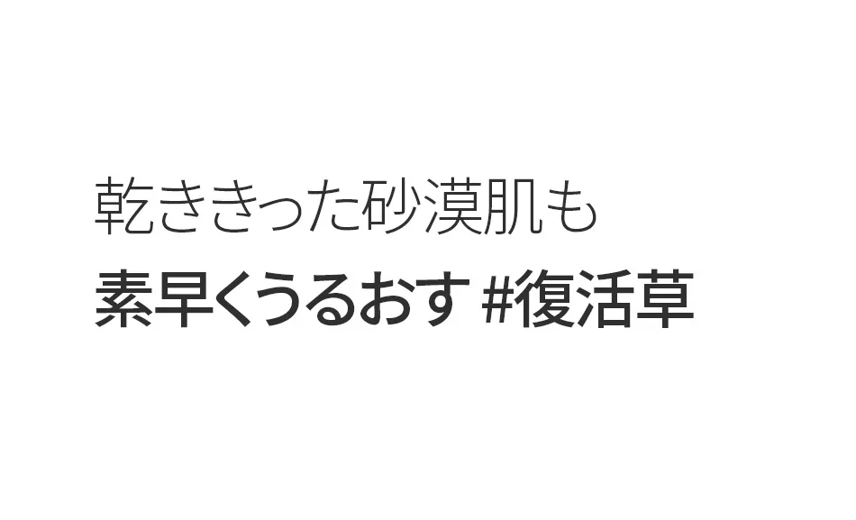 [オハイオフー] リジューストゥルーローズオブジェリコ | 詳細画像5