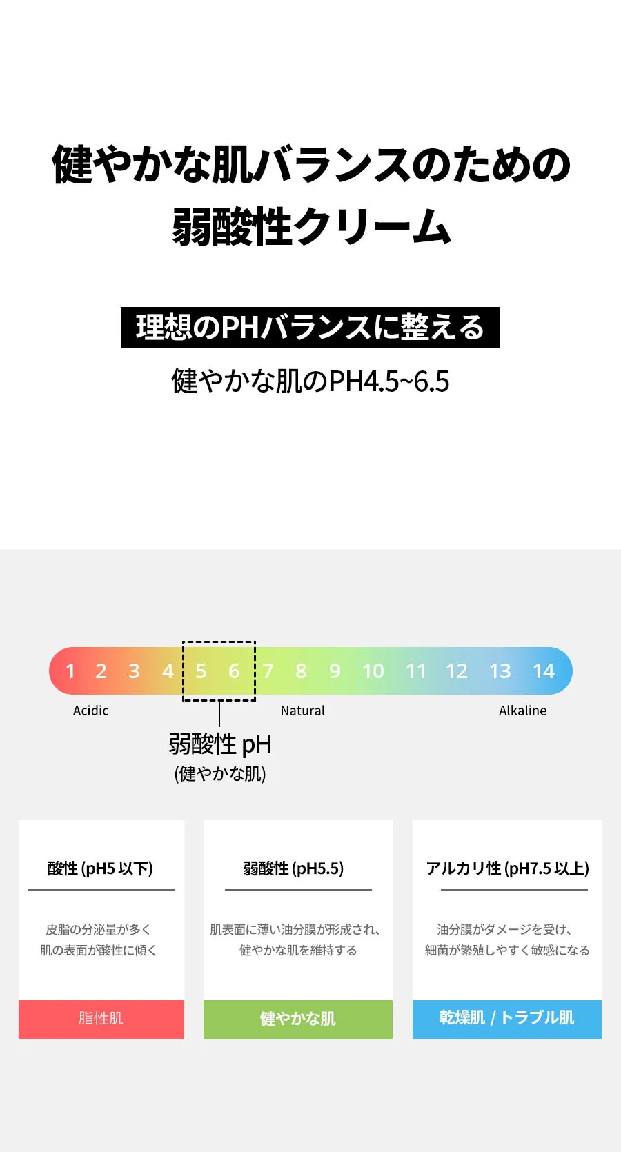 [ボナジュール] エクストリームCクリーム 50ml | 詳細画像14