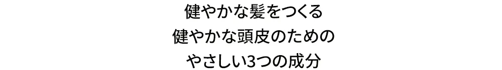 [ヴォイド] ビウムシャンプーバーサテン | 詳細画像4