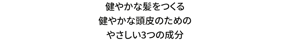 [ヴォイド] ビウムシャンプーバーフレッシュ | 詳細画像4