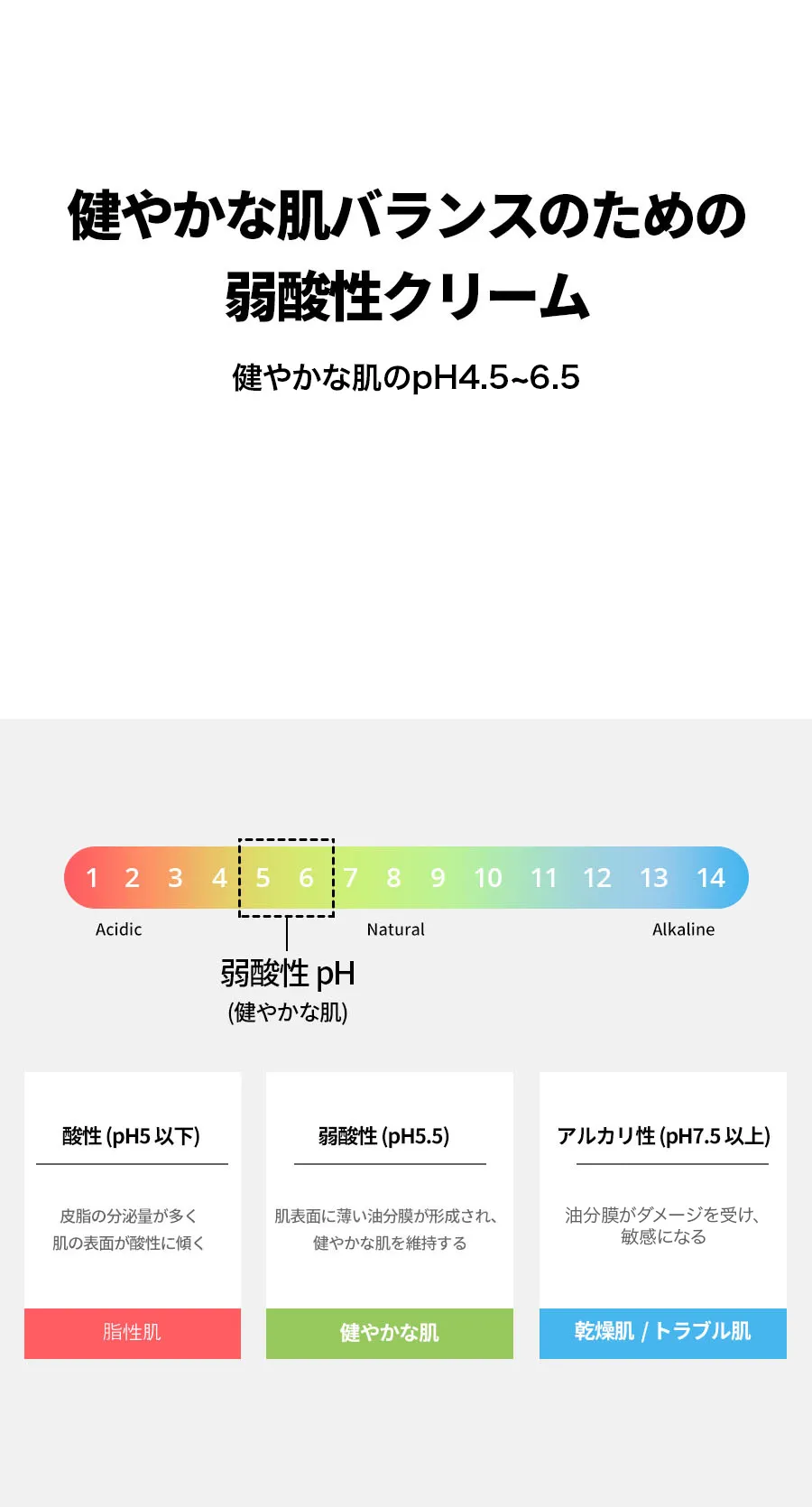 [ボナジュール] エクストリームCセット | 詳細画像24