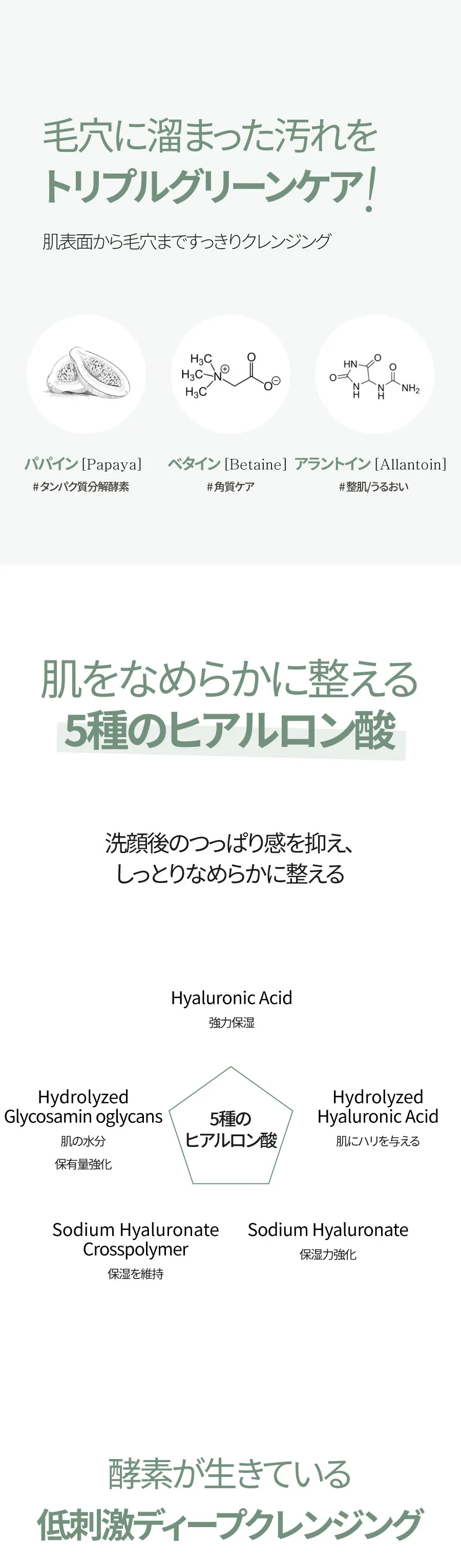 [ビューディアニ] グリーンツリー酵素パウダークレンザー 1+1 | 詳細画像3