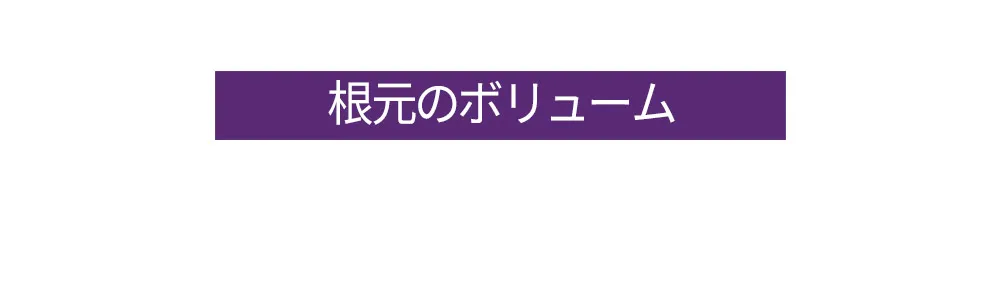 [ダリフ]グラムスタイリングフィクサー | 詳細画像5