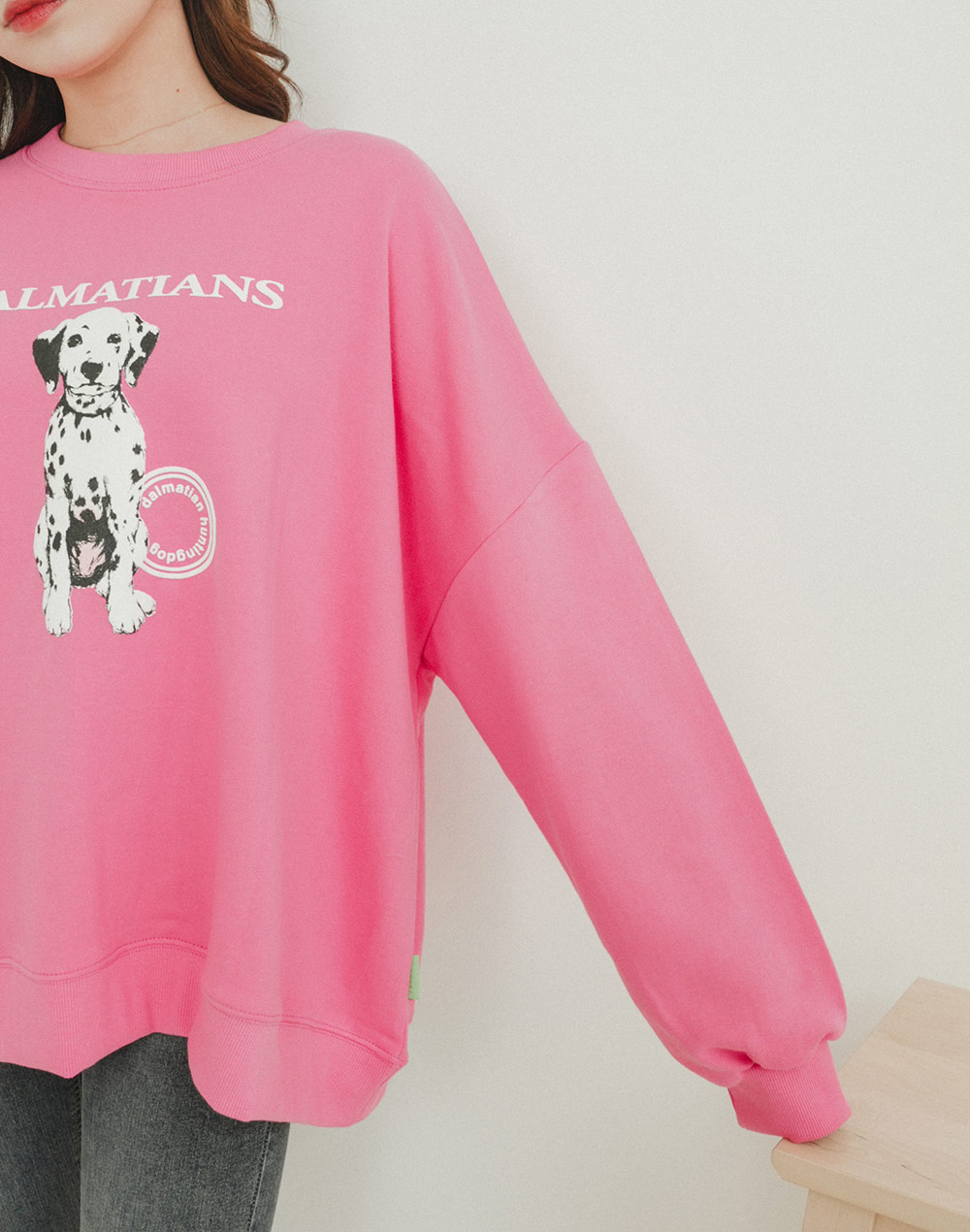 DALMATIANS sweatshirt | 詳細画像9