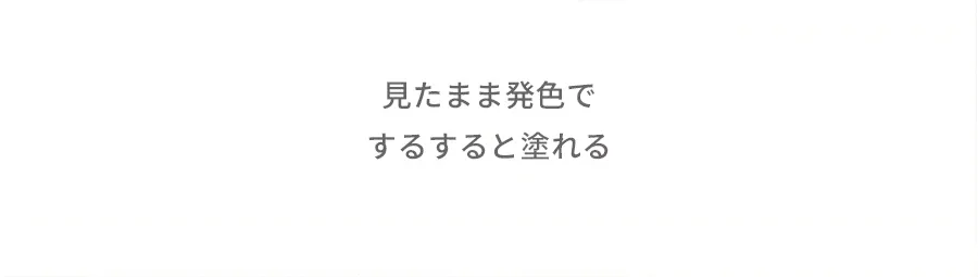 [ザ・ エヌビーピー] フォギースマッジマットリップスティック | 詳細画像4