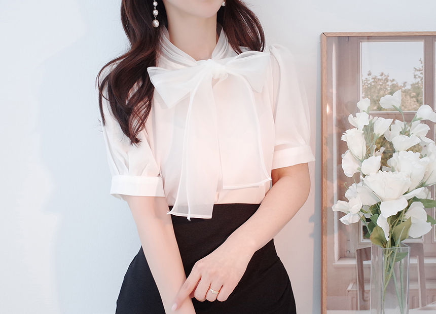 未使用 ANAYI オーガンジーパフ袖ブラウス トップス