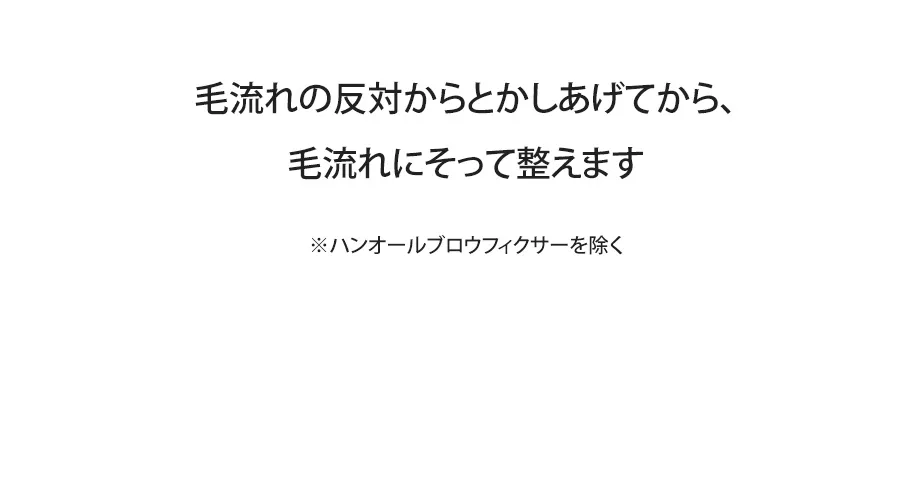 [ロムアンド] ハンオールブラーフィクサーカラ | 詳細画像16