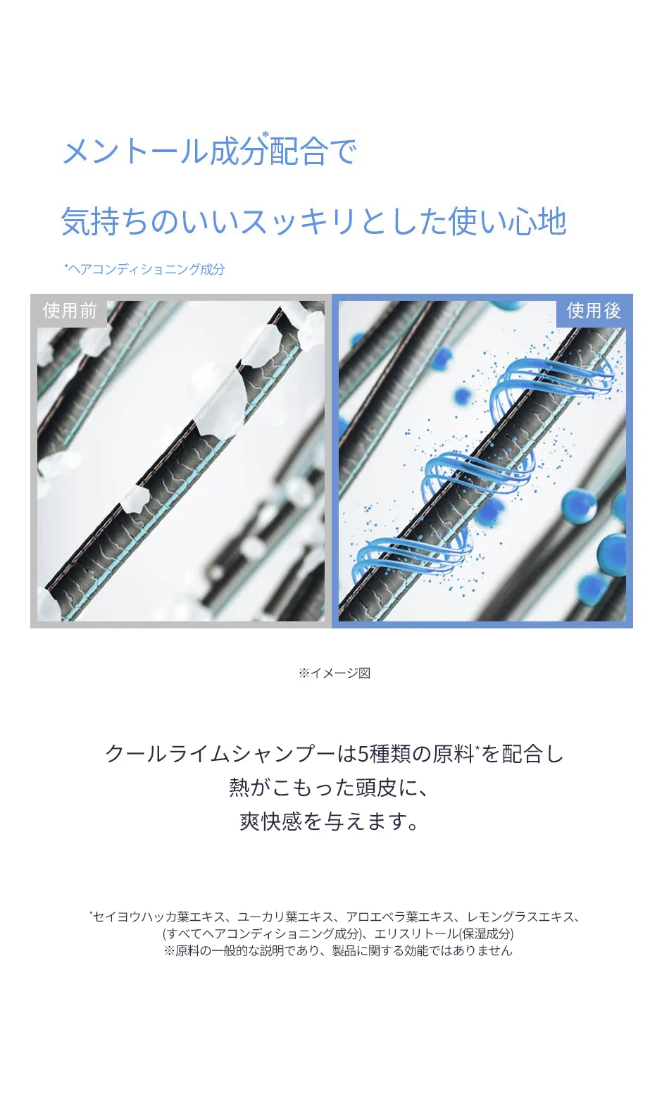 [オーディッド] クールライムシャンプーグリーンティーミント500ml | 詳細画像13