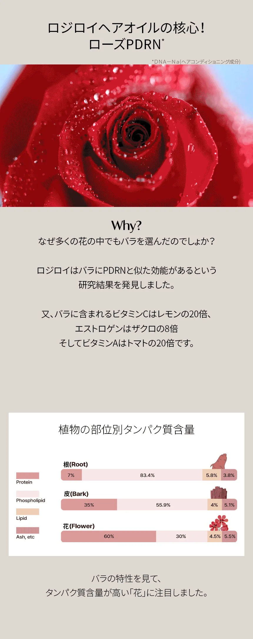 [ロジロイ] フラワーPDRNプロテインヘアオイルシグネチャーレインフォグ | 詳細画像10