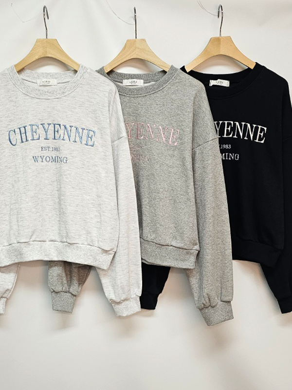 CHEYENNE刺繍ショートスウェット | 詳細画像17