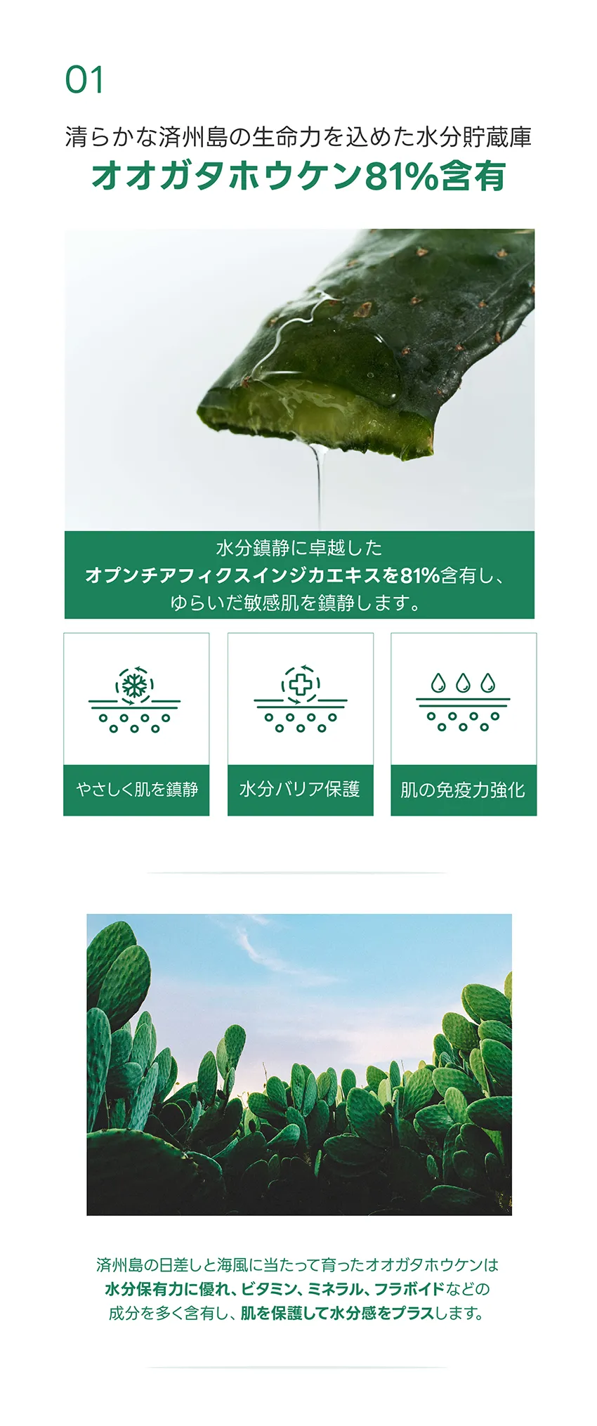 [オンワン] ブルーミングカータスファーストトナー | 詳細画像5