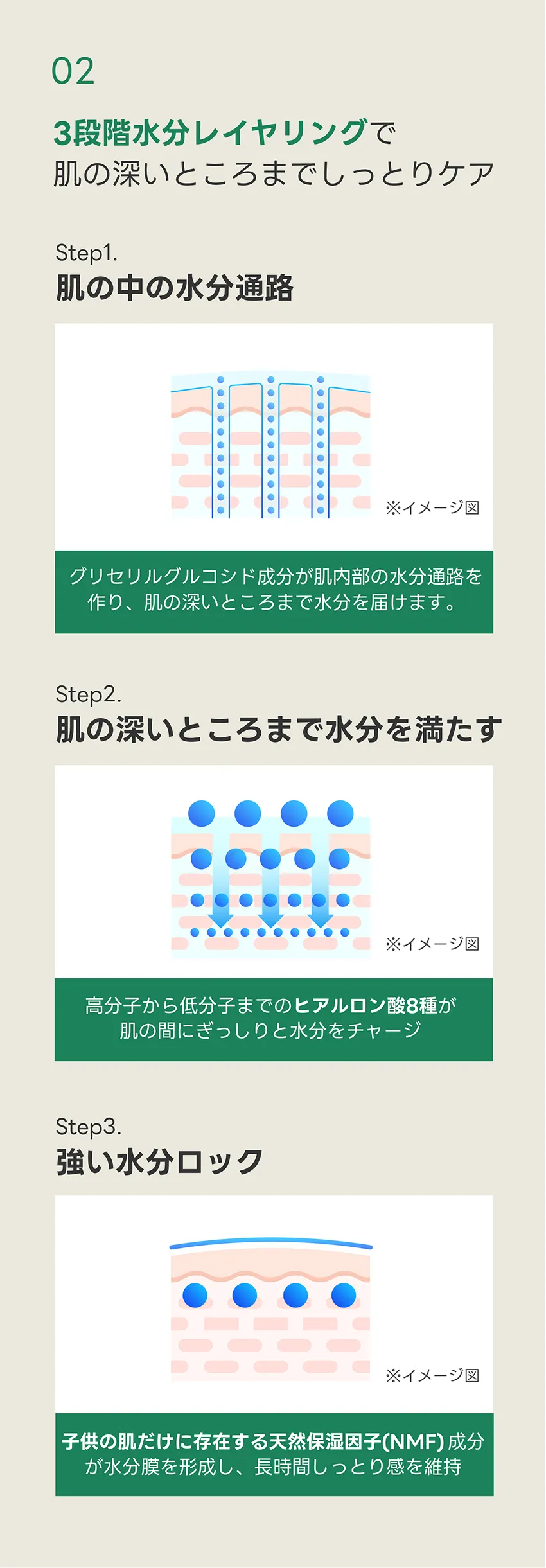 [オンワン] ブルーミングカータスファーストトナー | 詳細画像6