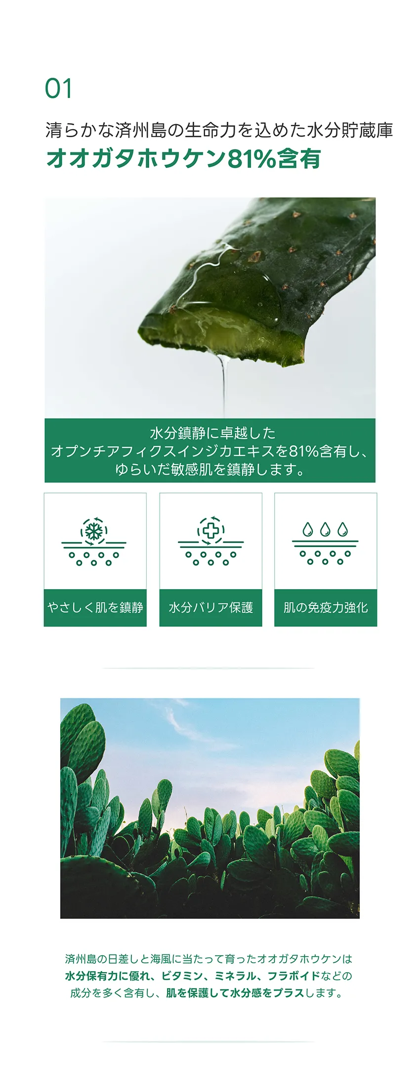 [オンワン] ブルーミングカータススージングクリーム | 詳細画像5