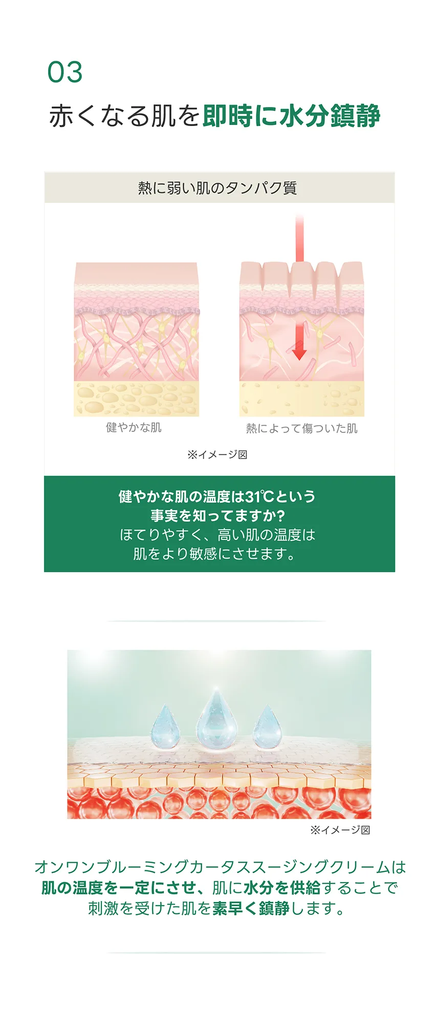 [オンワン] ブルーミングカータススージングクリーム | 詳細画像7