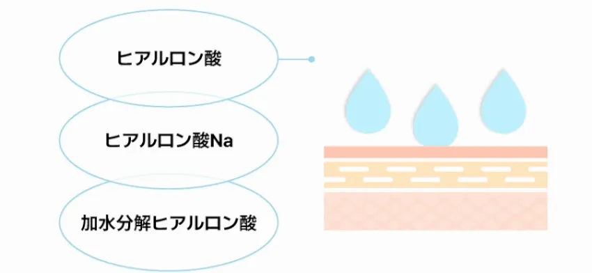 [バンハラ] セラミドモイスチャライジングセラムインクリーム | 詳細画像9