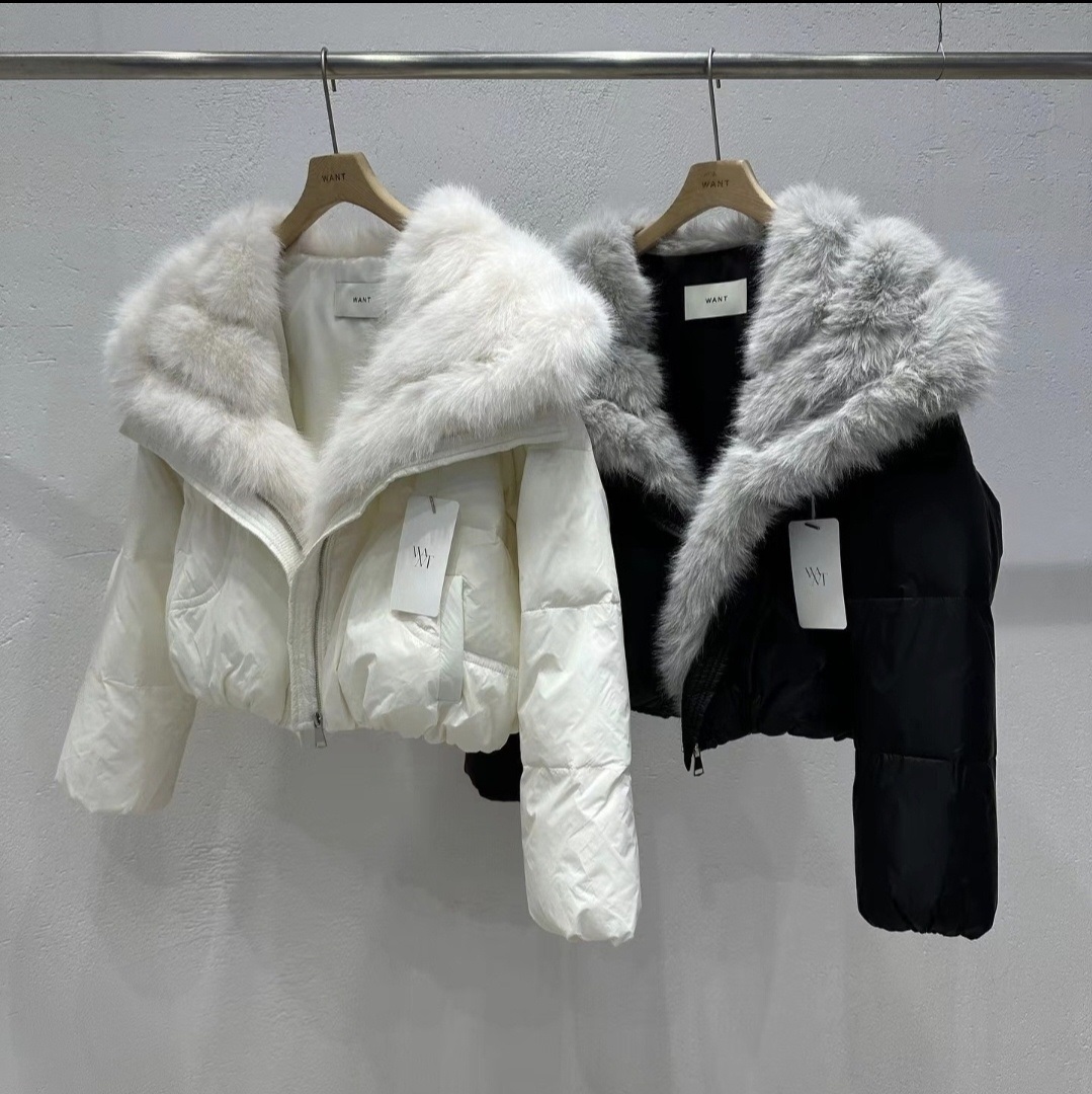 エコファービッグカラーダウンジャンパー | レディースファッション