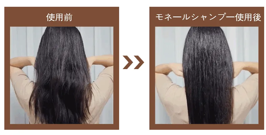 [ミラクレア] モネールアンチヘアロスシャンプー | 詳細画像11