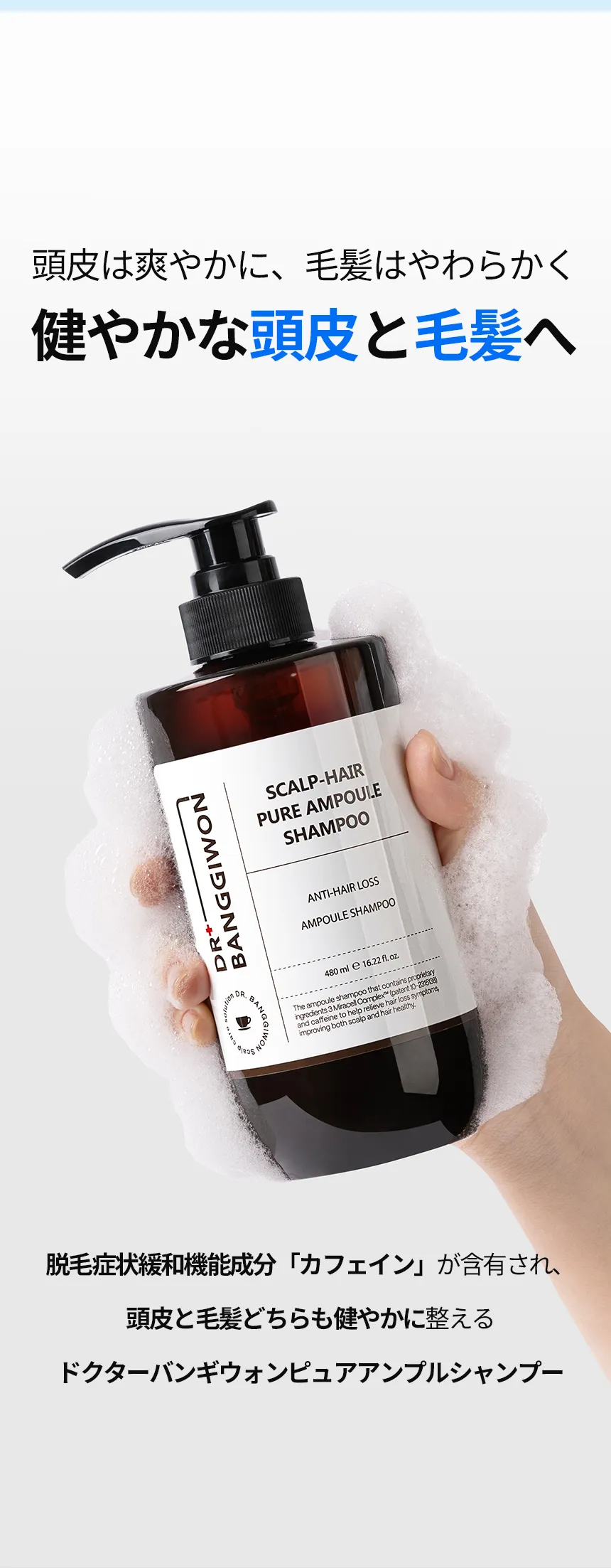 [ドクターバンギウォン] スカルプヘアピュアアンプルシャンプー480ml | 詳細画像4