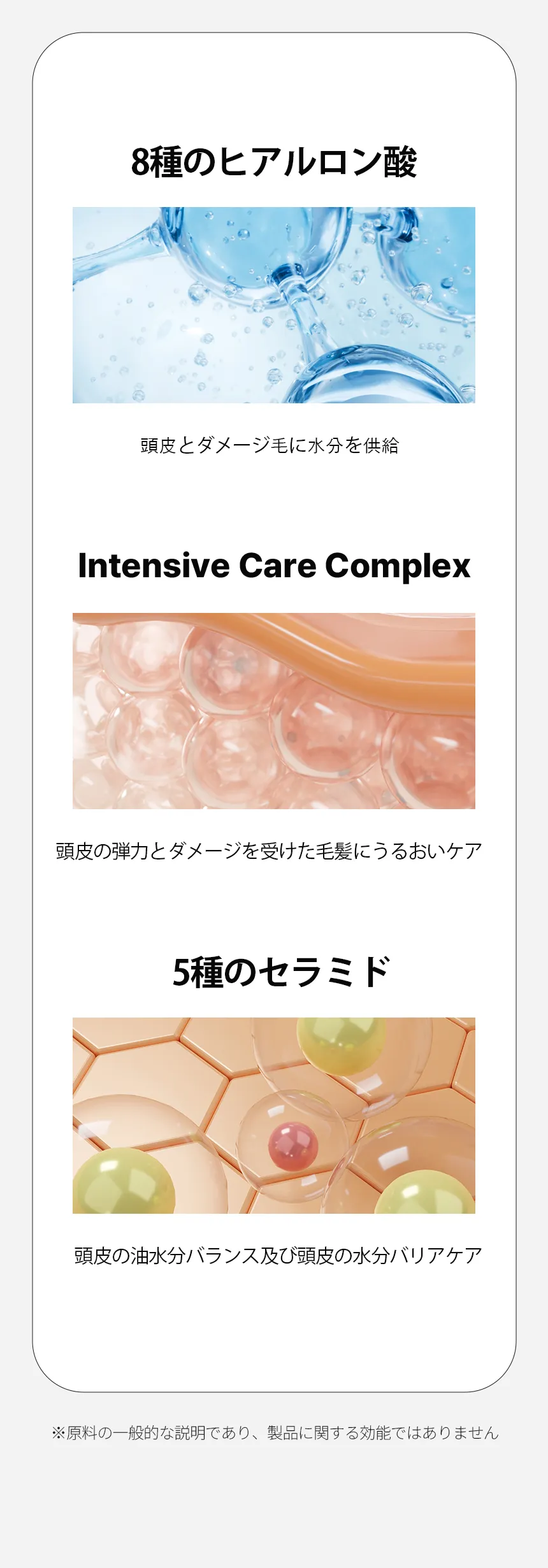 [ドクターバンギウォン] スカルプヘアピュアアンプルシャンプー480ml | 詳細画像12