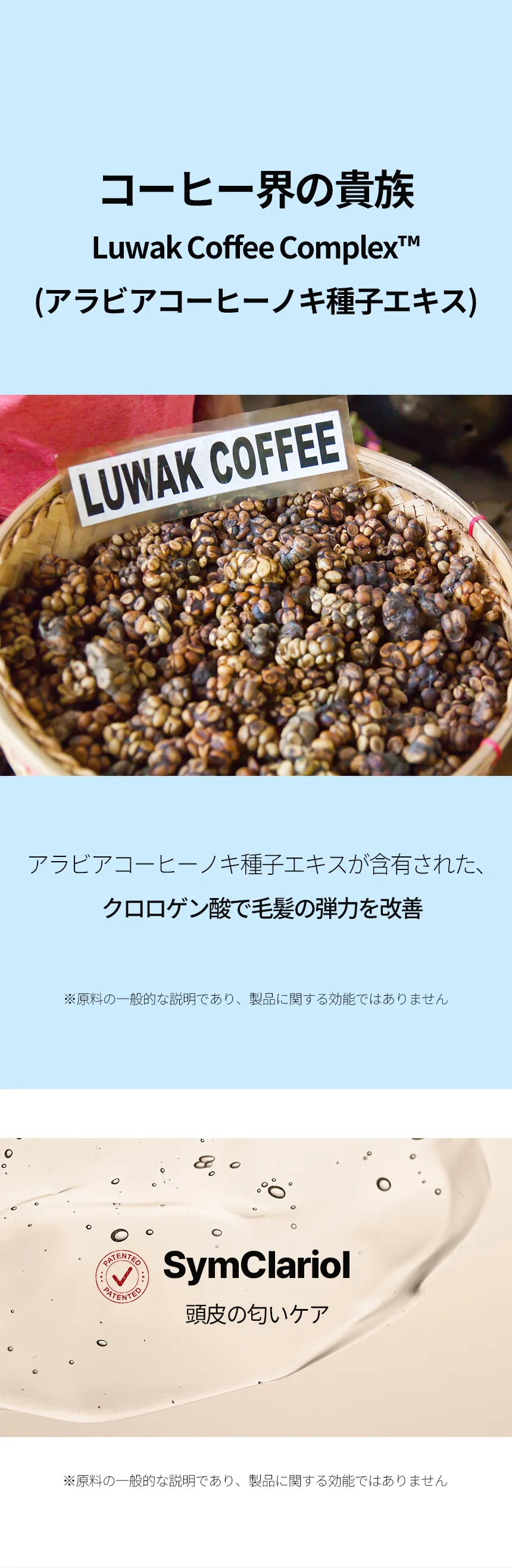 [ドクターバンギウォン] スカルプヘアピュアアンプルトリートメント | 詳細画像8