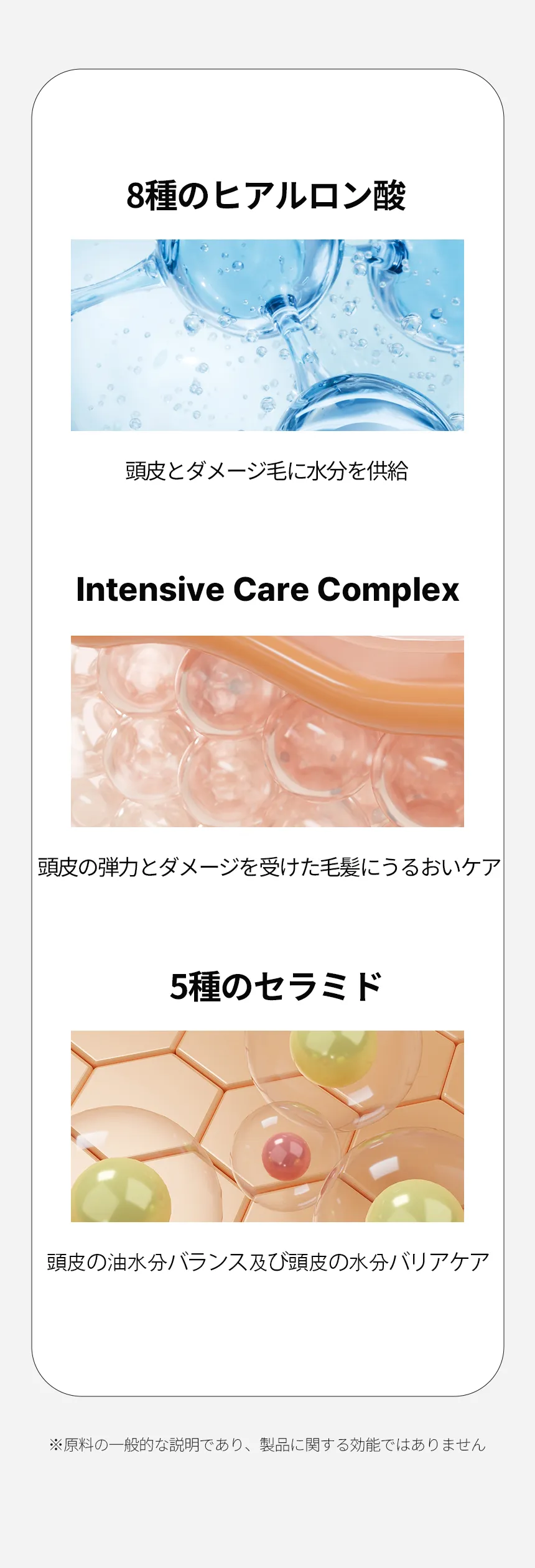 [ドクターバンギウォン] スカルプヘアピュアアンプル | 詳細画像11