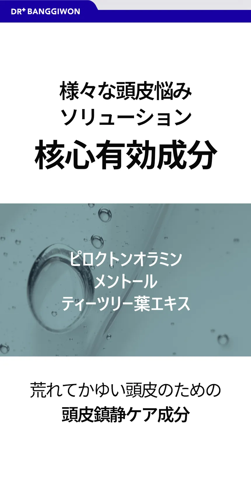 [ドクターバンギウォン] ラボシャンプーRX | 詳細画像12