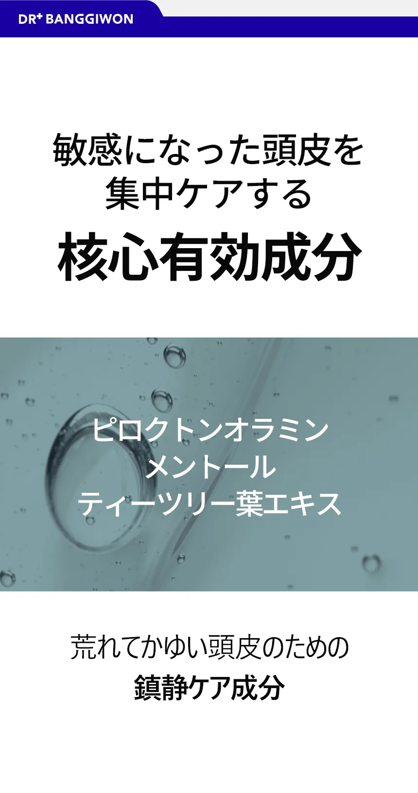 [ドクターバンギウォン] ラボスカルプトニックRX | 詳細画像12