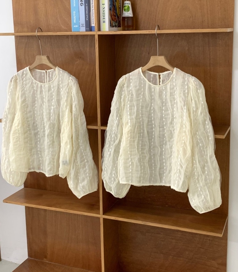 フリル刺繍シアーパフブラウス | 詳細画像18