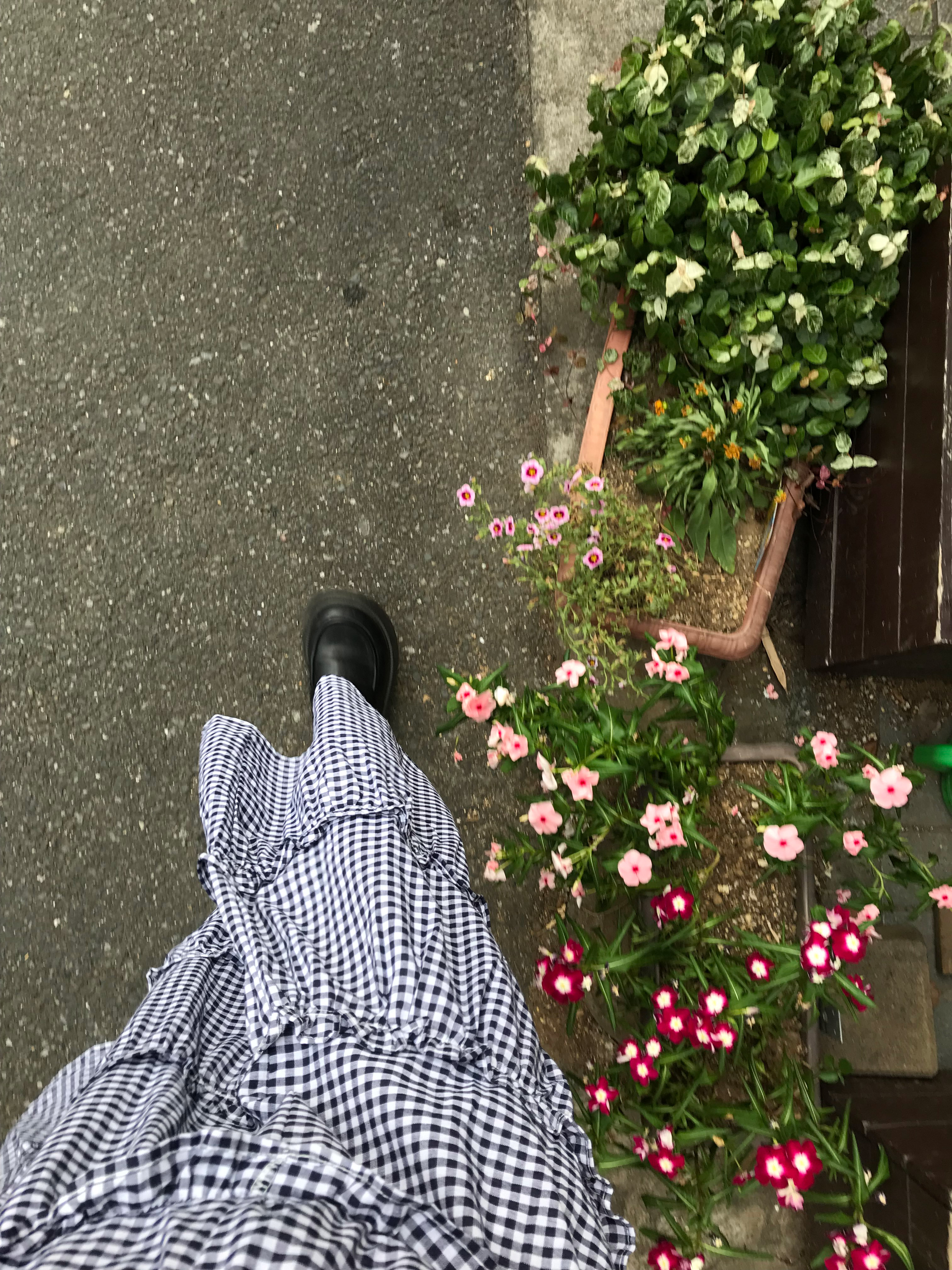 ギンガムティアードフリルスカート | 詳細画像5