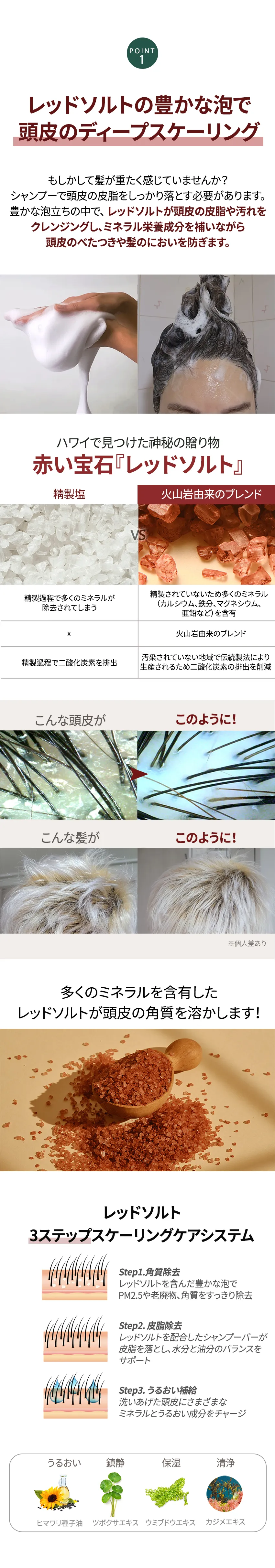 [エーデルグラウンド] レッドソルトシャンプーバー | 詳細画像4