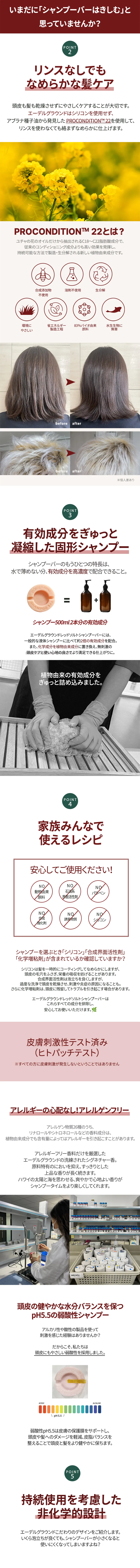 [エーデルグラウンド] レッドソルトシャンプーバー | 詳細画像5