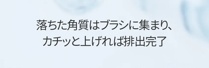 [フォービュート] ダンドラフブラシ | 詳細画像4