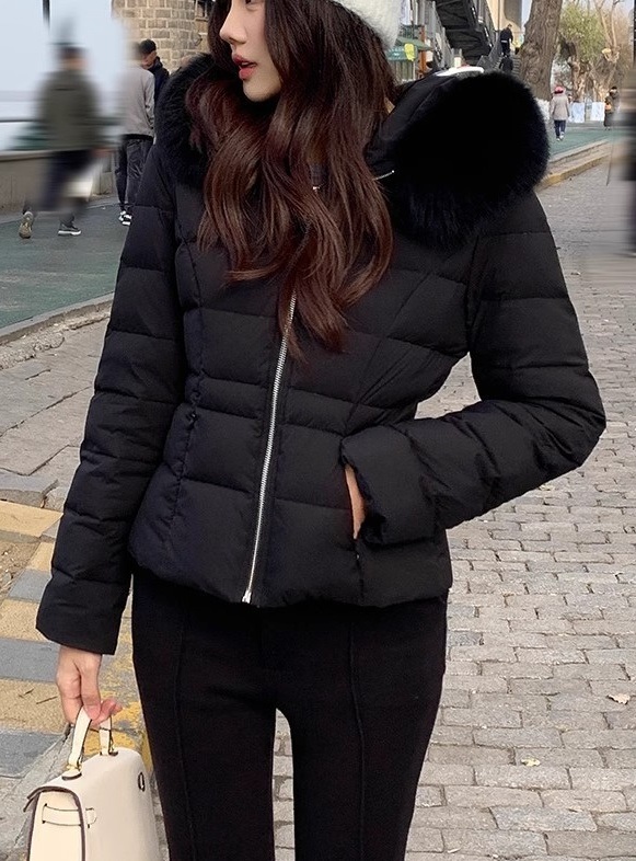 ダックダウンウェルロンフードショートダウンジャケット | 詳細画像3