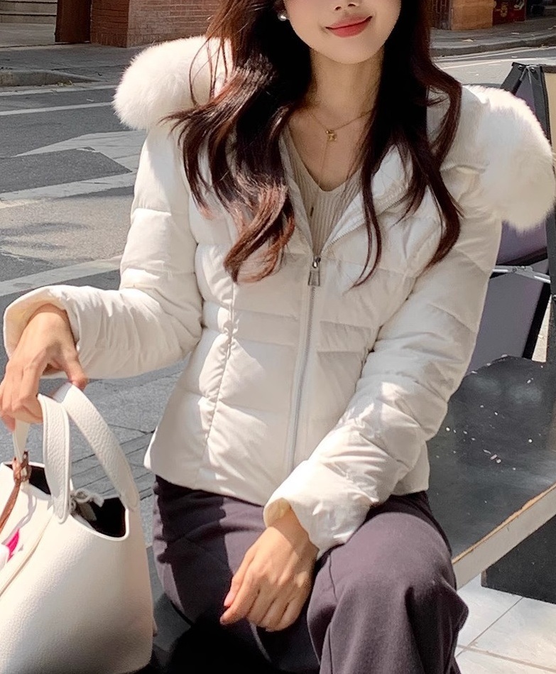 ダックダウンウェルロンフードショートダウンジャケット | 詳細画像5