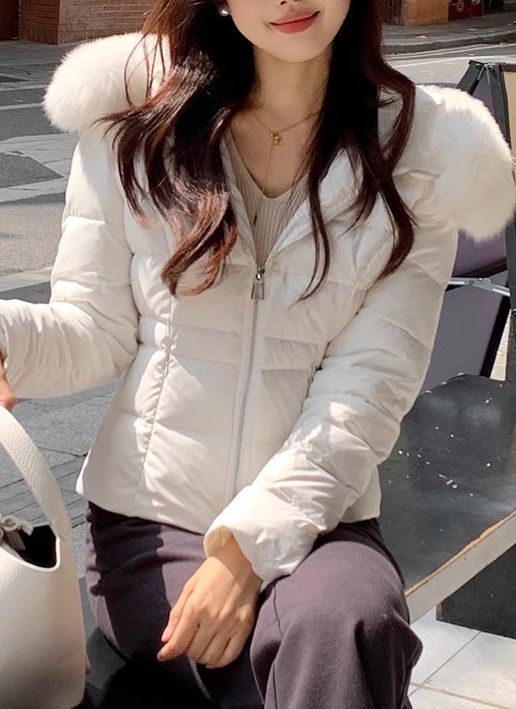 ダックダウンウェルロンフードショートダウンジャケット | レディース