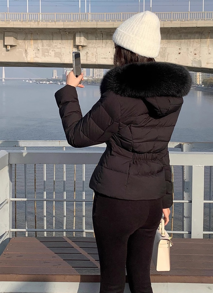 ダックダウンウェルロンフードショートダウンジャケット | レディース